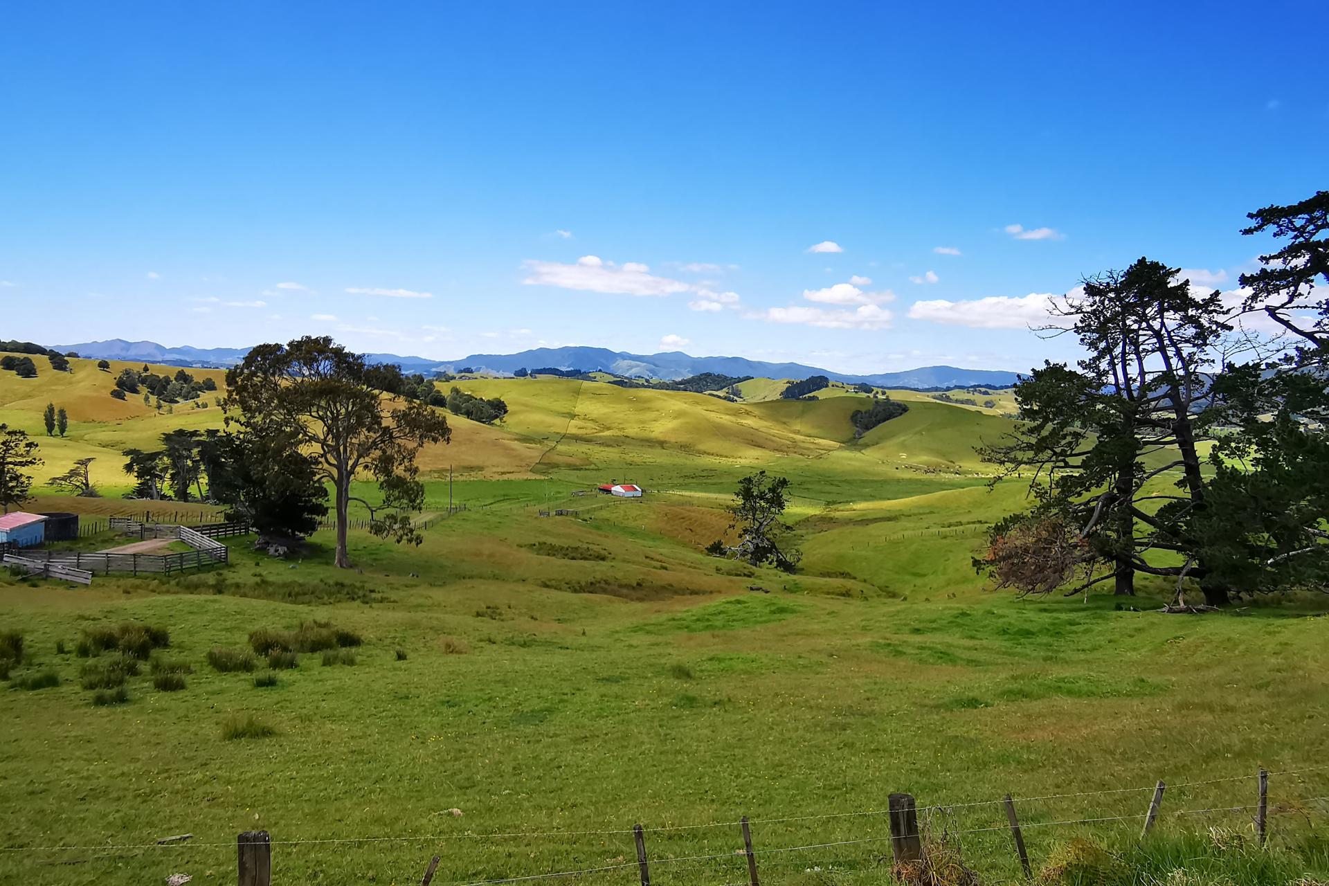 Marr & Co 1, 2 & 6, 298B Church Road, Kaitaia