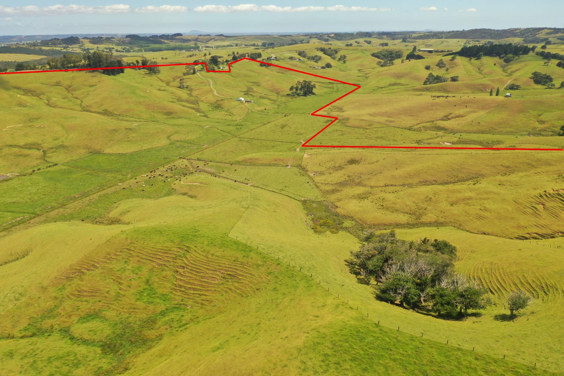 Marr & Co 1, 2 & 6, 298B Church Road, Kaitaia