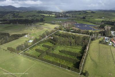 6934-state-highway-1-kaitaia-surrounds