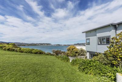 33a-treasure-grove-hataitai