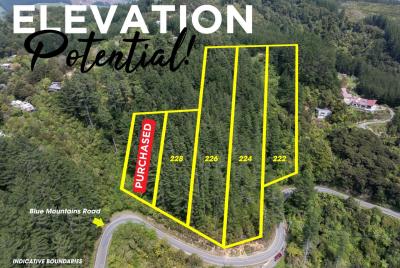 222-228-blue-mountains-road-blue-mountains