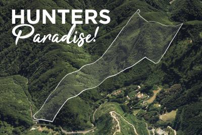 zero-akatarawa-road-brown-owl