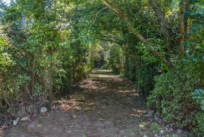 279-north-manakau-road-manakau