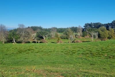 147a-papaitonga-lake-road-ohau