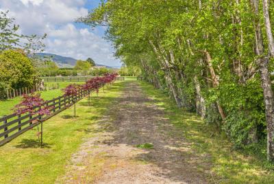 372-tararua-road-levin