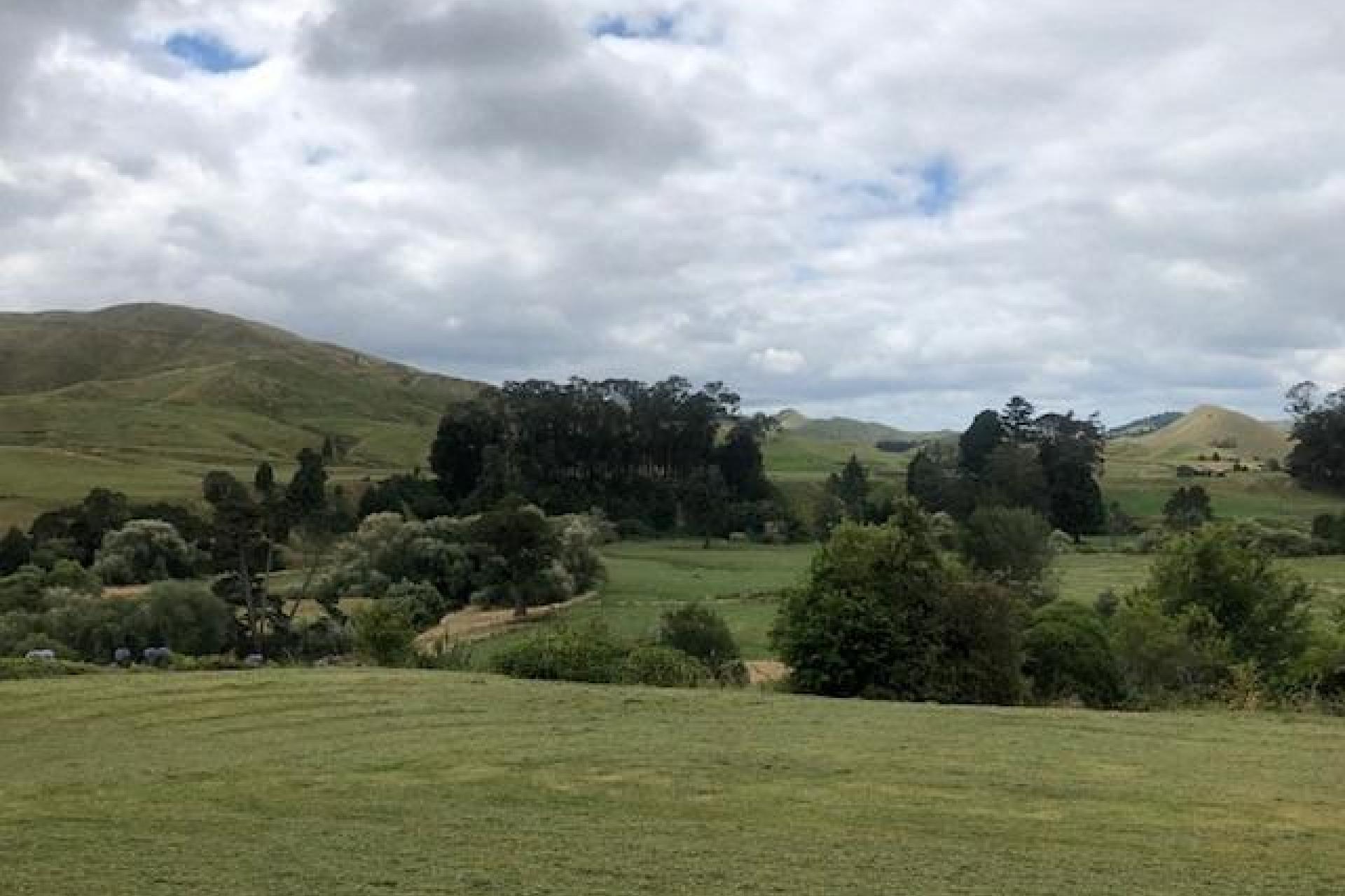 6617 Matawai Road, Matawai