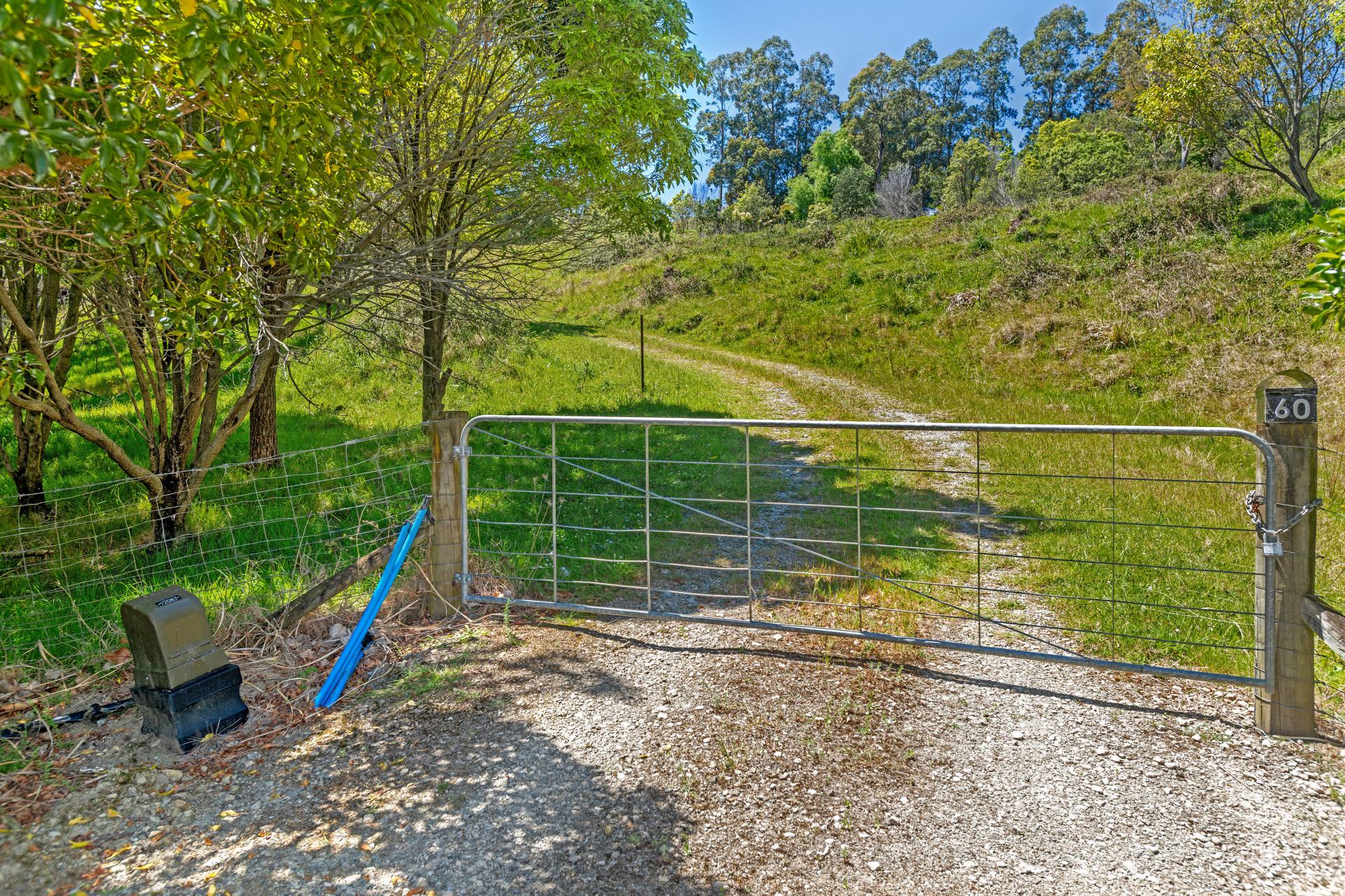 Wheatstone Road, Kaiti