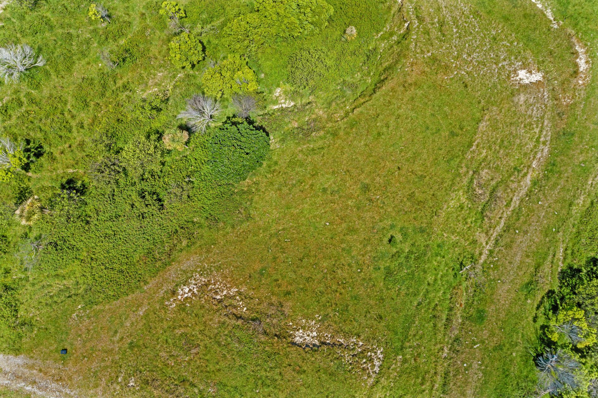 Wheatstone Road, Kaiti