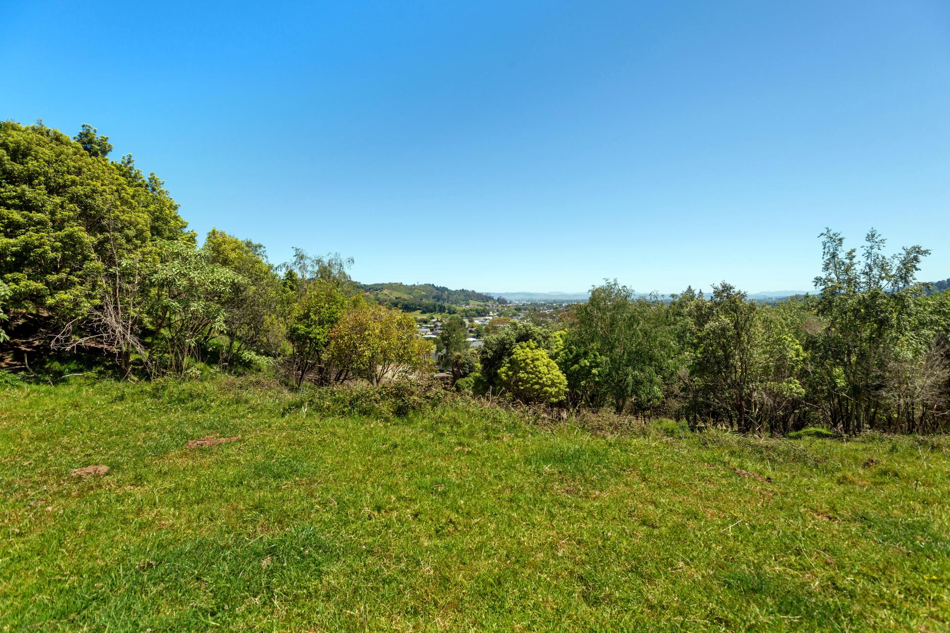 Wheatstone Road, Kaiti