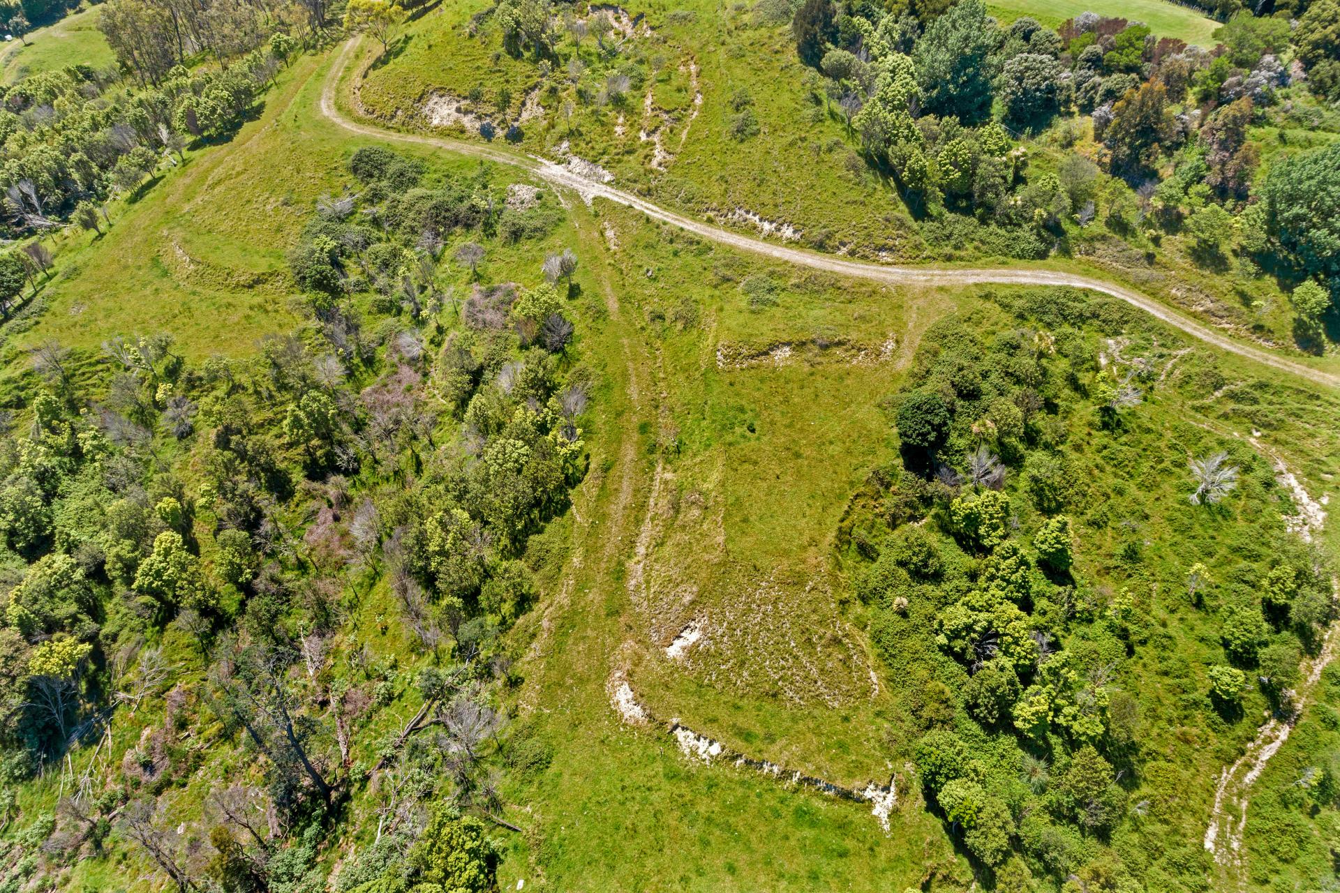 Wheatstone Road, Kaiti