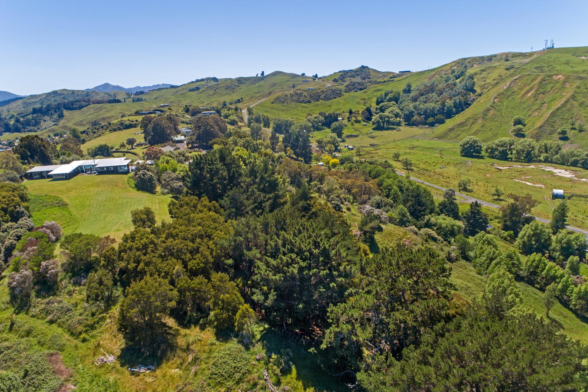 Wheatstone Road, Kaiti