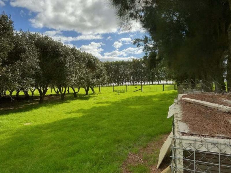 745 Matawai Road, Waerengaahika