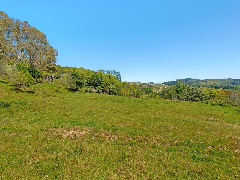 Wheatstone Road, Kaiti