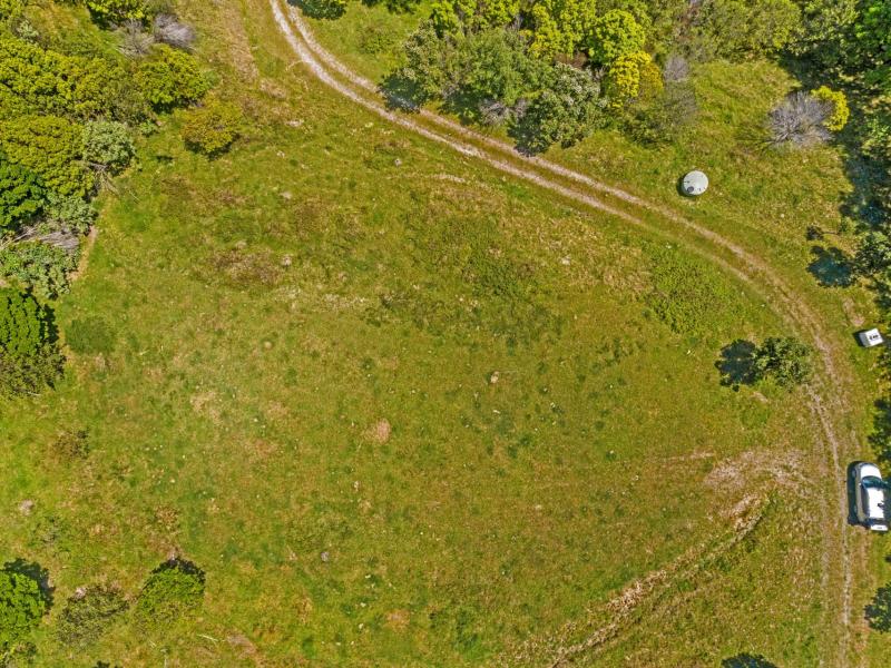 Wheatstone Road, Kaiti