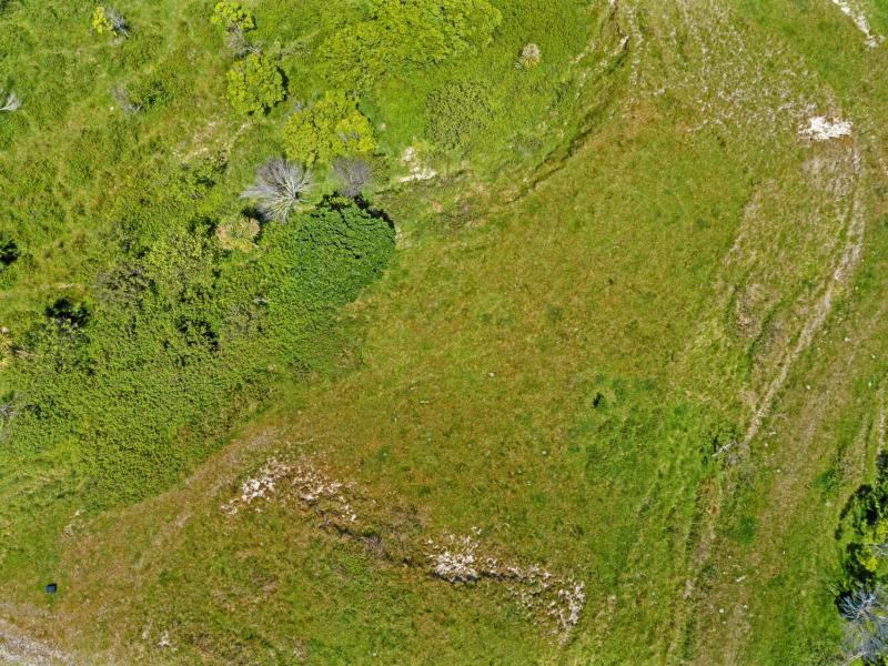 Wheatstone Road, Kaiti