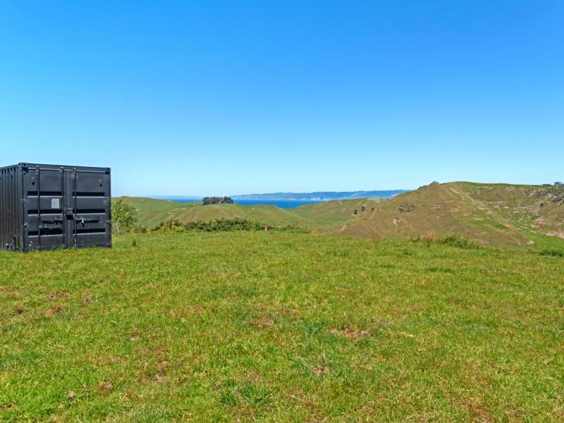 Wheatstone Road, Kaiti