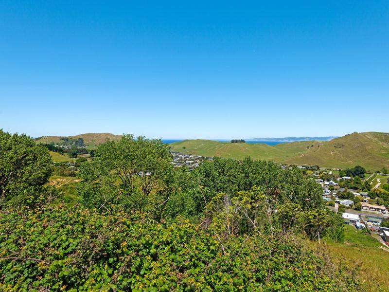 Wheatstone Road, Kaiti