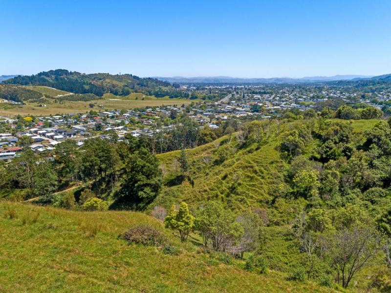 Wheatstone Road, Kaiti