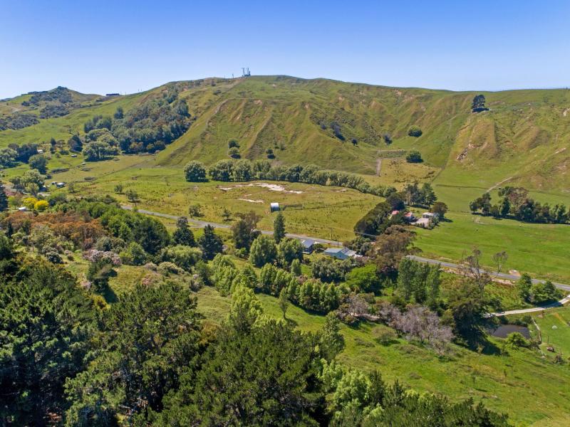 Wheatstone Road, Kaiti