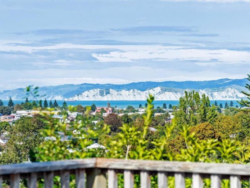 197 Russell St, Whataupoko