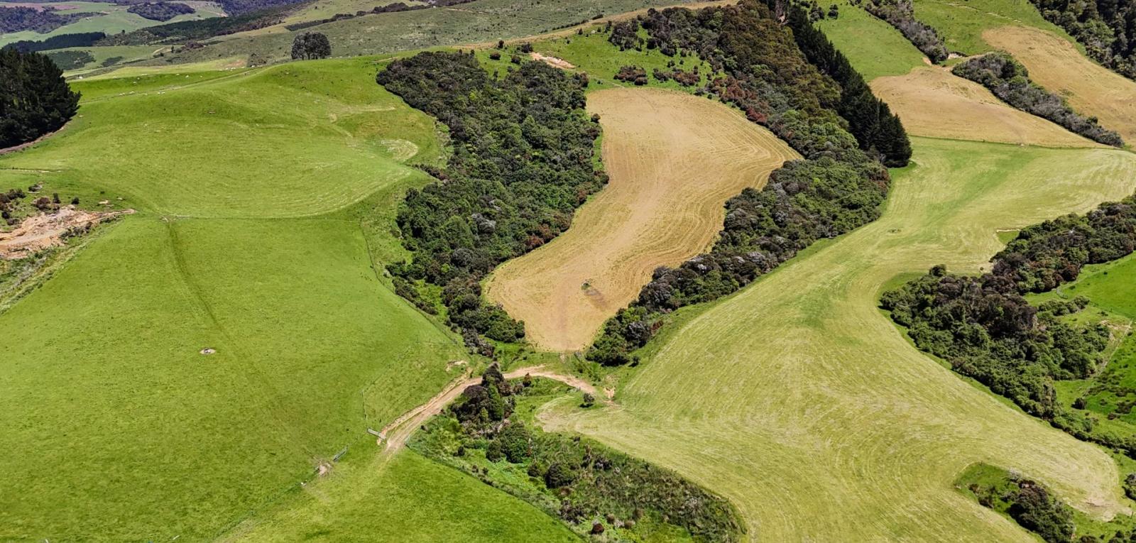 124 Niagara Waikawa Road