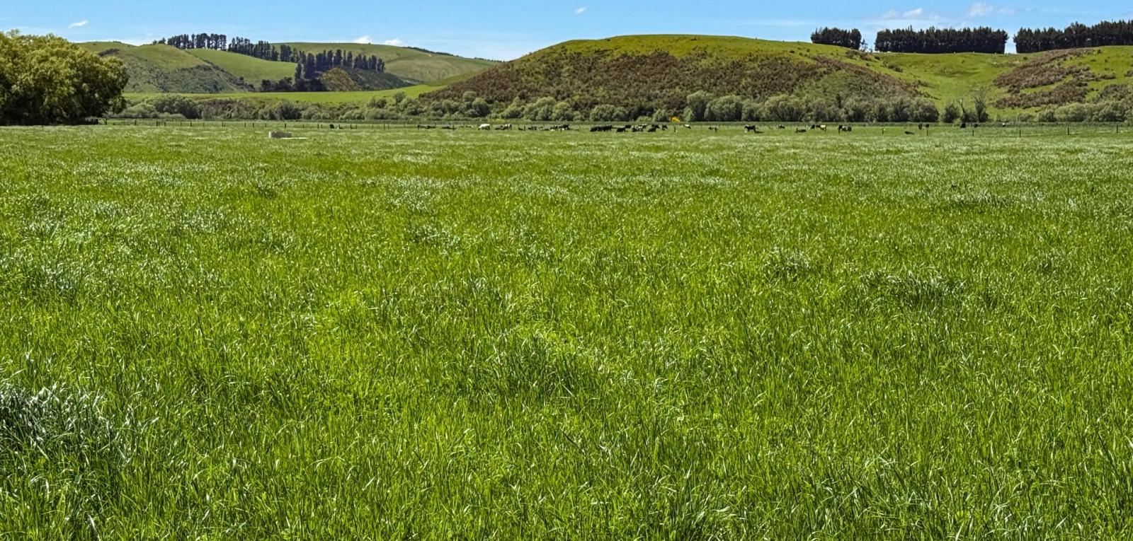 840 Ardlussa Cattleflat Road