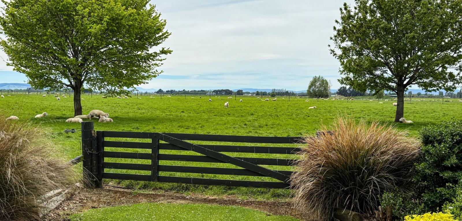 310 Drummond Oreti Road