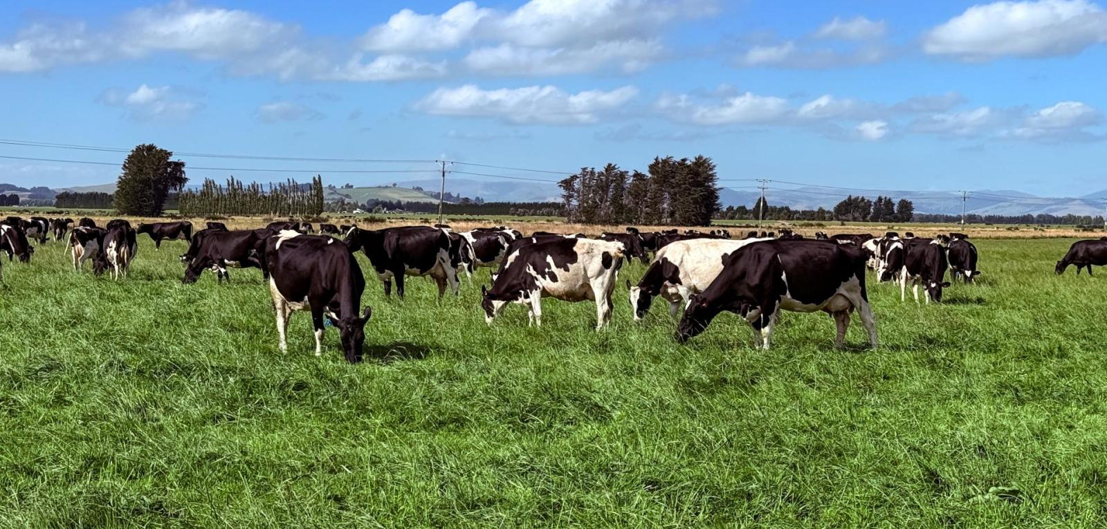 867 Hundred Line Road East