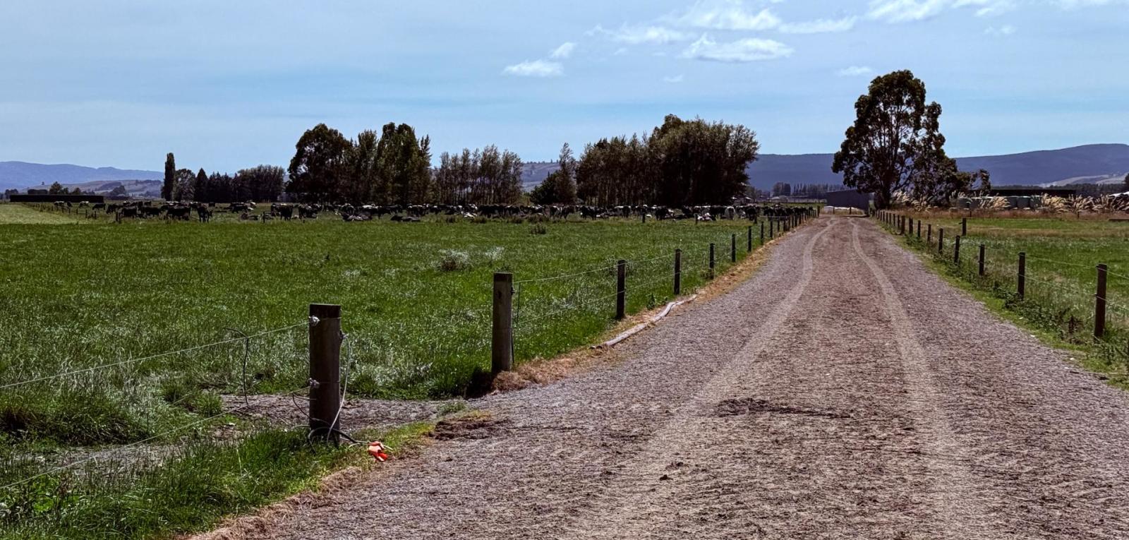 867 Hundred Line Road East