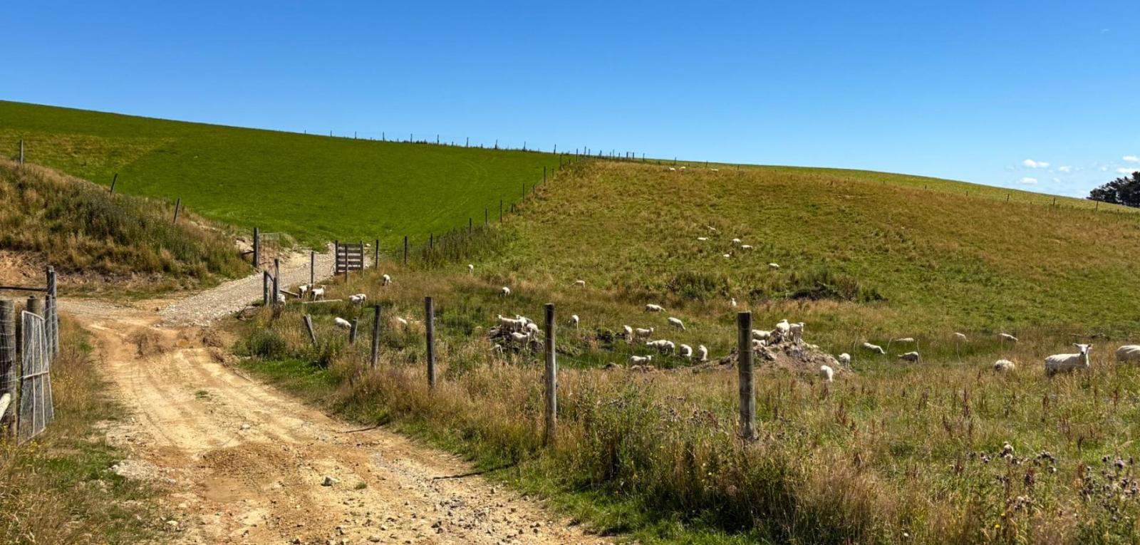 330 and 380 Falls Creek Road