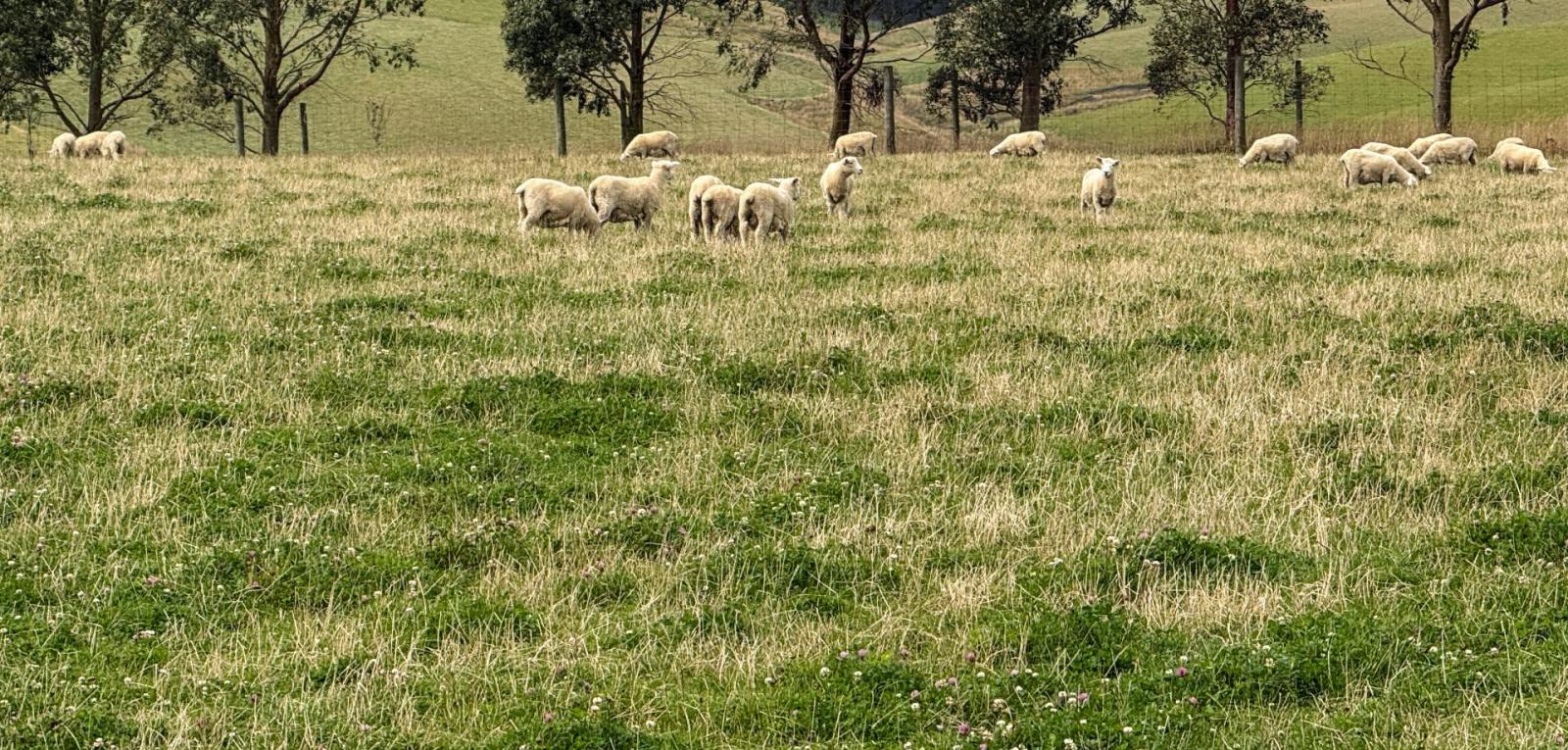 10 Four Mile Creek Road