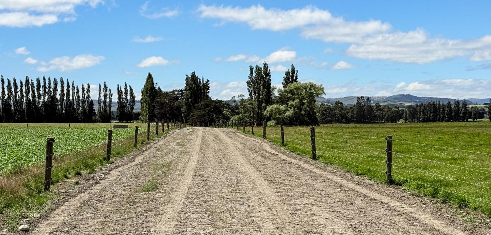 251 Rakahouka Hedgehope Road