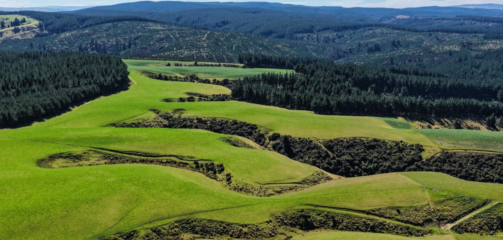 759 Waitahuna Gully Road