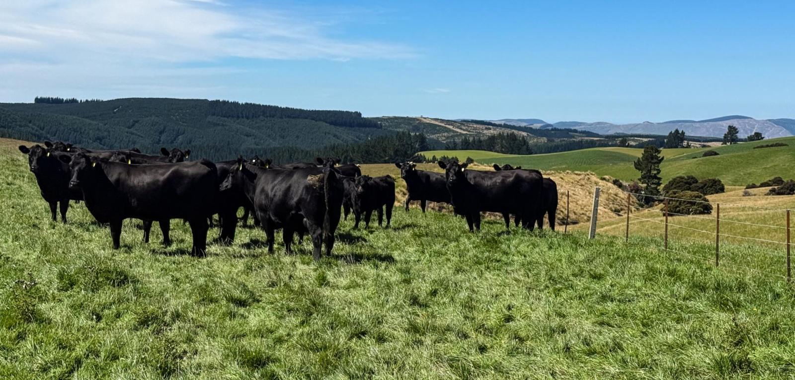 759 Waitahuna Gully Road