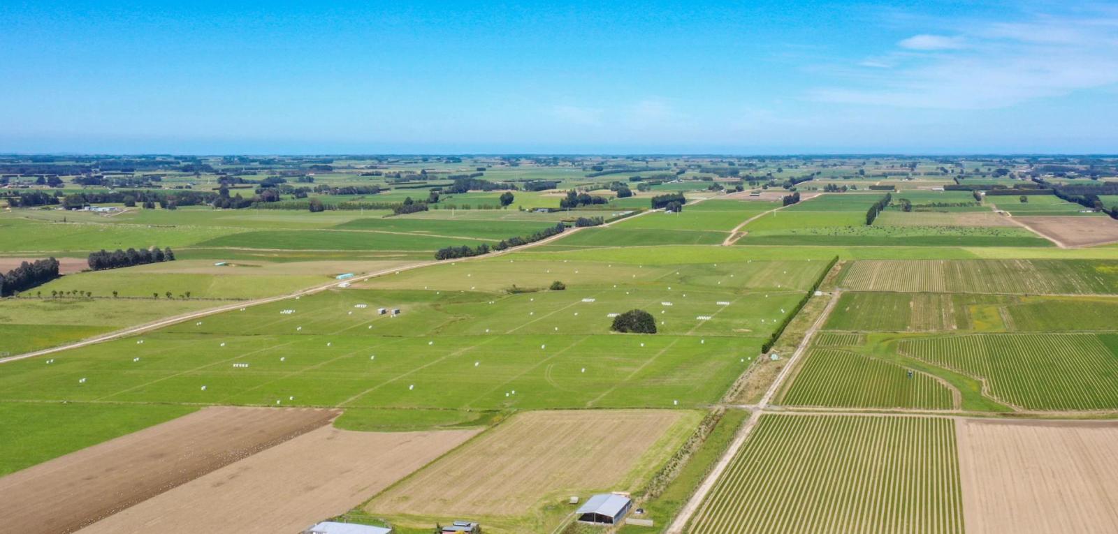 486 Irving Road and 150 Angle Road