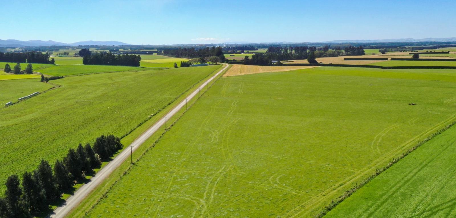 486 Irving Road and 150 Angle Road