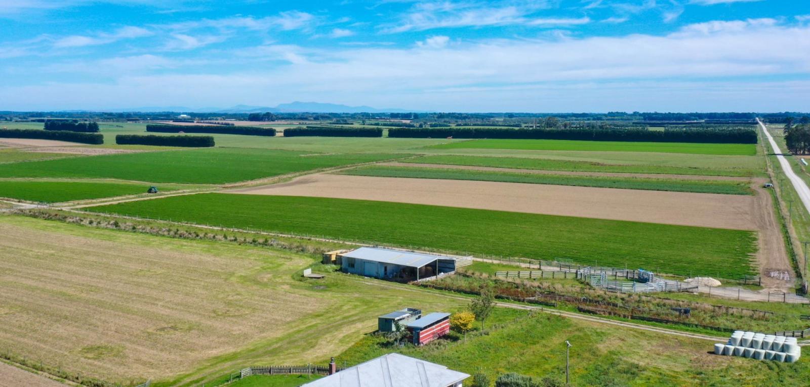 486 Irving Road and 150 Angle Road