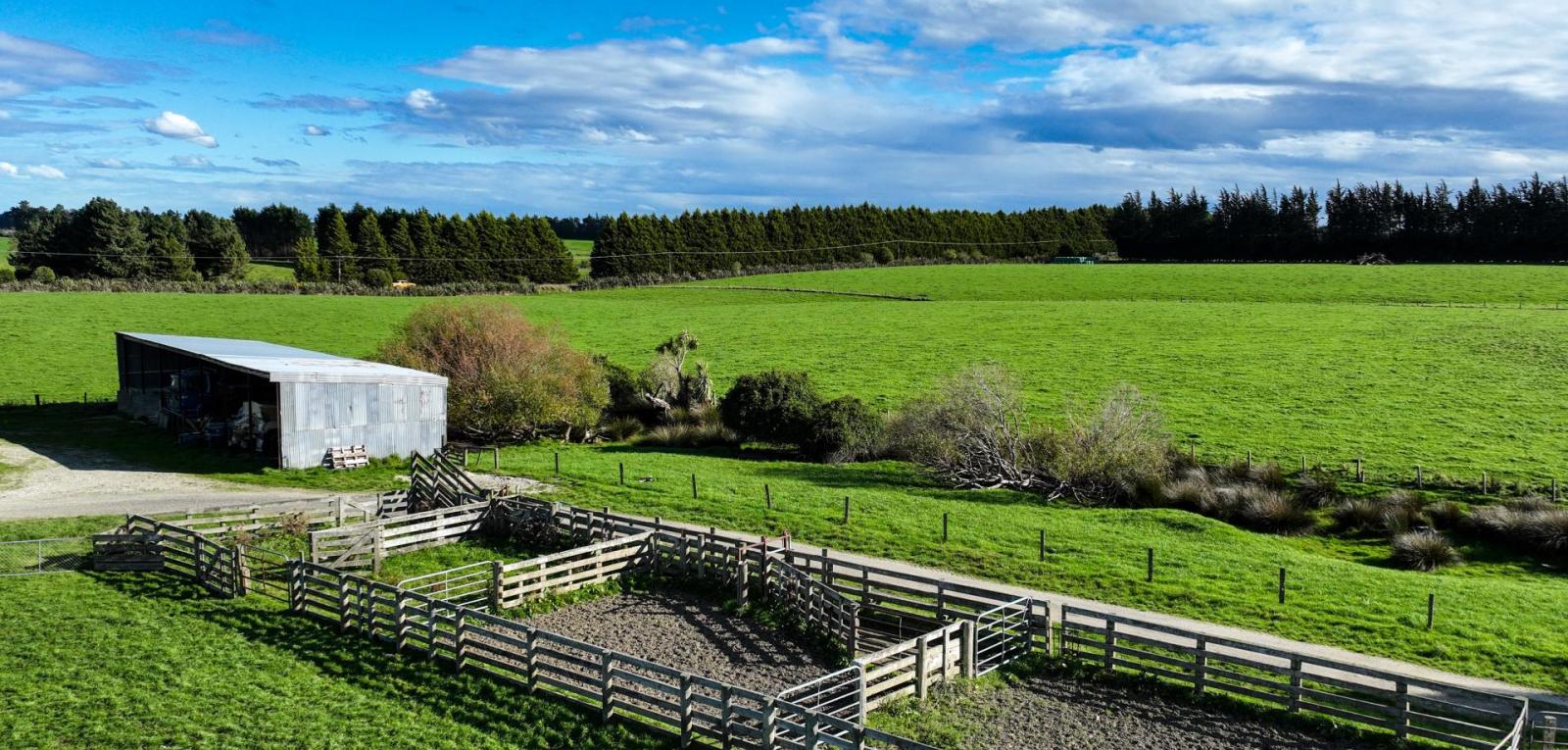 525 Woodlands-Morton Mains Road