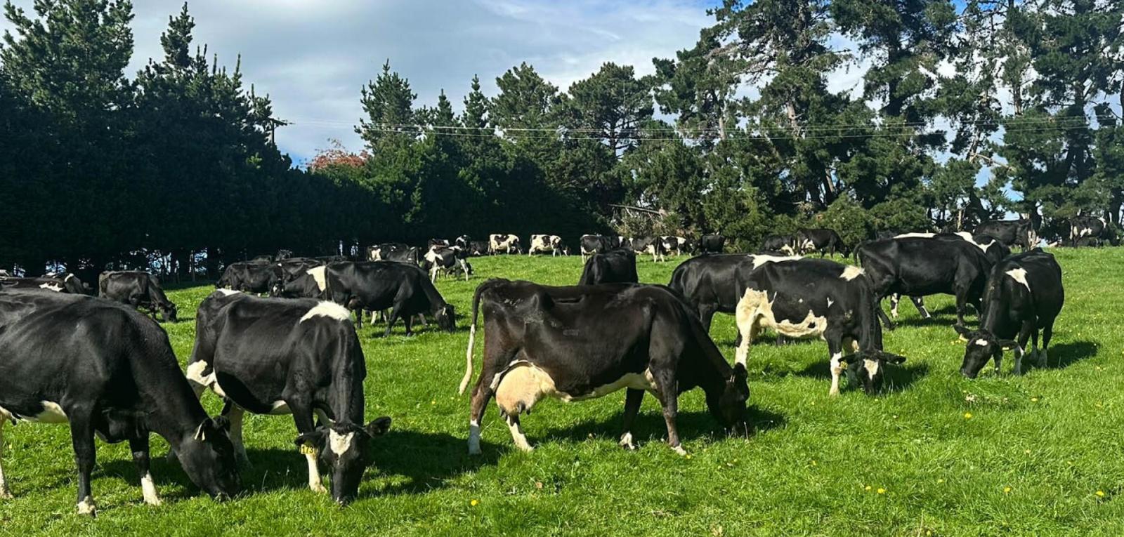 321-349 Chittock Road