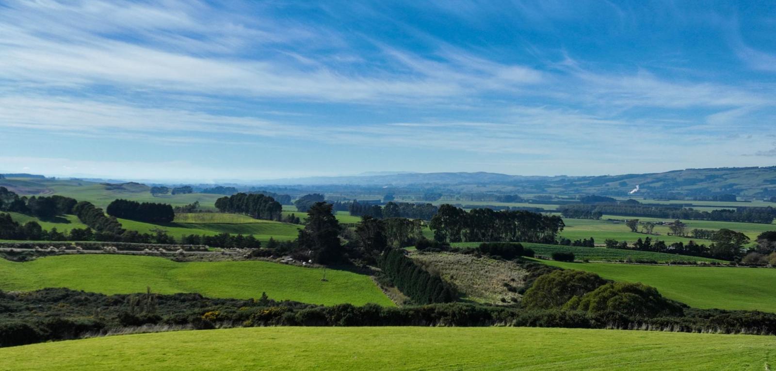 347 Brydone Glencoe Road