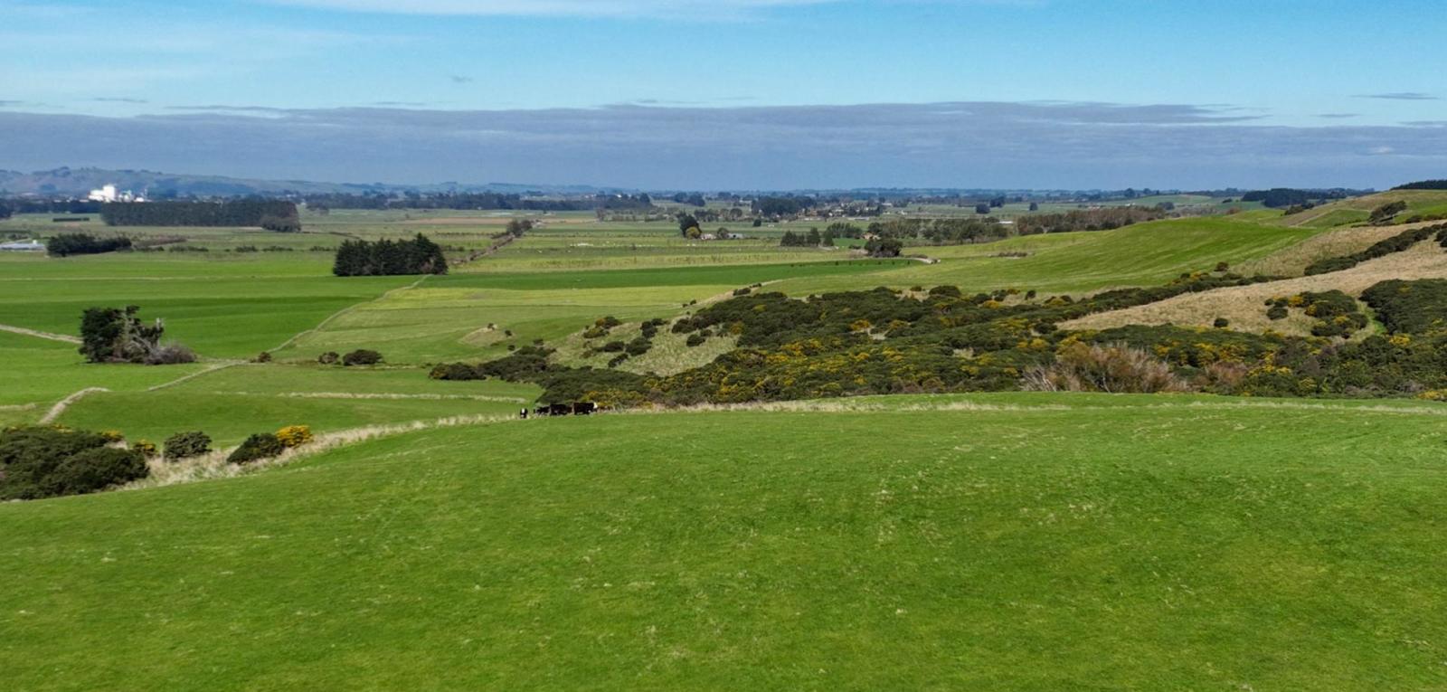 347 Brydone Glencoe Road