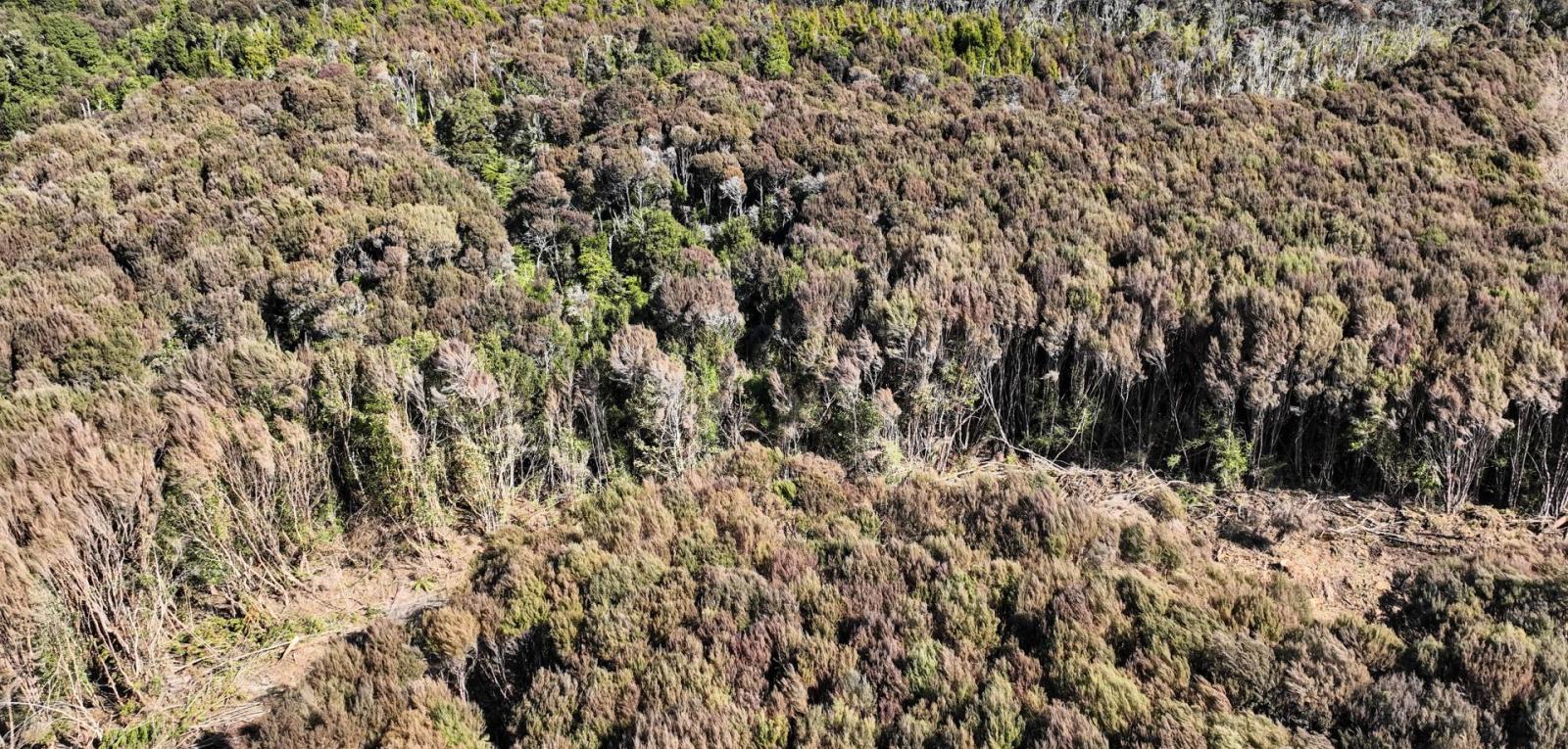 1250 Mokoreta Tahakopa Road