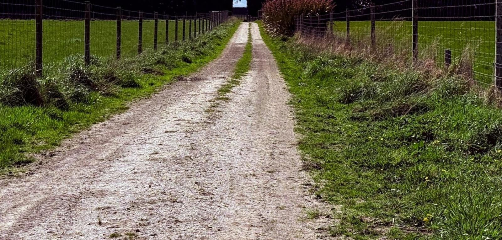 Dowling Road