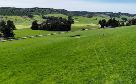 242 Caroline Valley Road