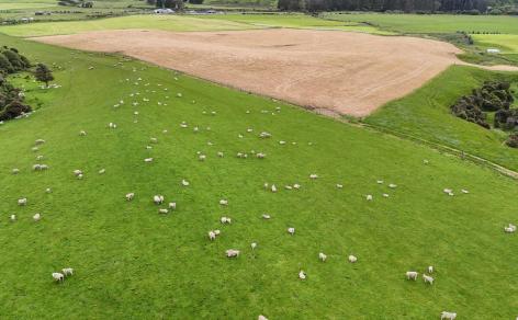 124 Niagara Waikawa Road