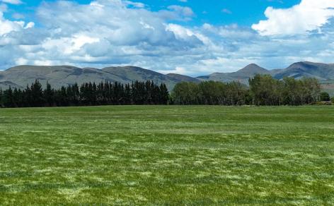 400 Mandeville Kingston Crossing Road