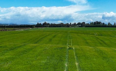 400 Mandeville Kingston Crossing Road