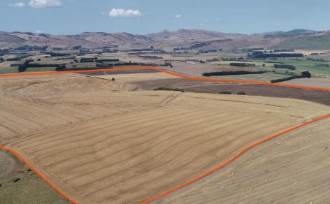 400 Mandeville Kingston Crossing Road