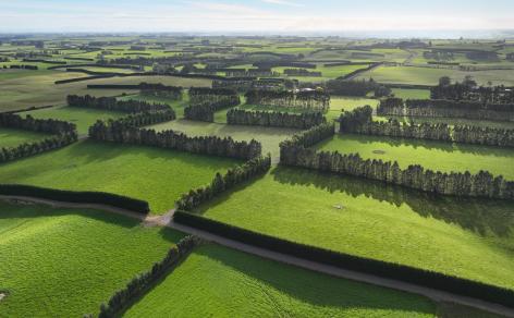 318 Waipango Ermedale Road