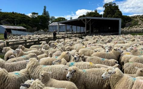 21 Lillburn Valley Road